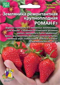 Земляника Роман - ремонтантная F1 (УД)