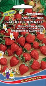 Земляника Барон Солемахер - ремонтантная (УД)