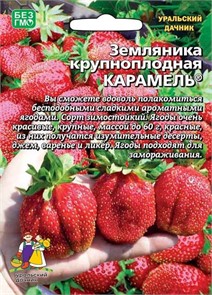 Земляника Карамель крупноплодная 10шт (УД)