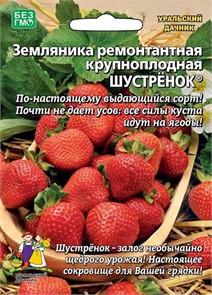 Земляника Шустрёнок - ремонтантная (УД)