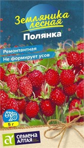 Земляника Полянка ремонтант(Семена Алтая)
