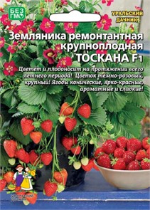Земляника Тоскана - ремонтантная F1 (УД)