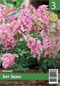 Хохлатка Бет Эванс 5/+ 3 шт Колорлайн