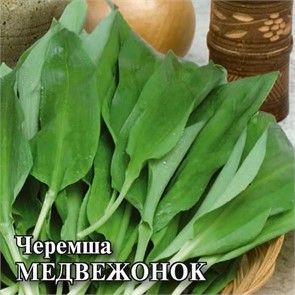 Черемша Медвежонок (УД)