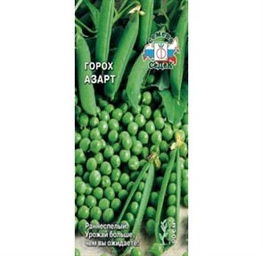 Горох Азарт Седек