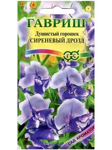 {{productViewItem.photos[photoViewList.activeNavIndex].Alt || productViewItem.photos[photoViewList.activeNavIndex].Description || 'Горошек душистый Сиреневый дрозд 0,5 г (Гавриш)'}}