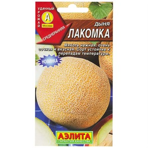 Дыня Лакомка Аэлита