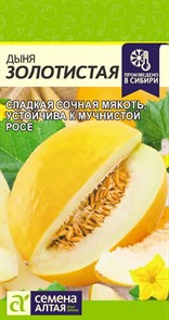 Дыня Золотистая Семена Алтая