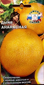 Дыня Ананасная Седек