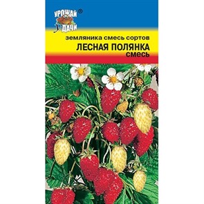 Земляника Смесь сортов  Лесная полянка Урожай Удачи