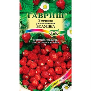 Земляника Золушка Ягодная полянка Гавриш