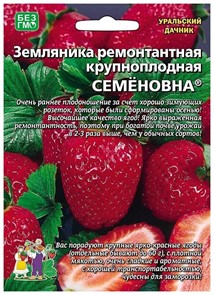 Земляника Семёновна Уральский Дачник