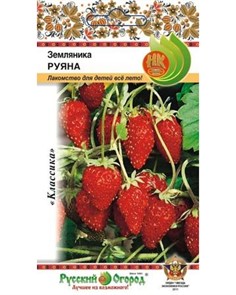 Земляника Руяна Русский огород