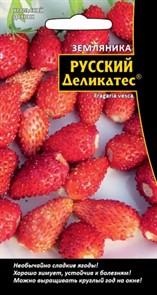 Земляника Русский деликатес Уральский дачник