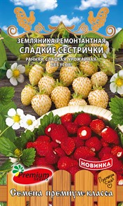 Земляника ремонтантная Сладкие сестрички Премиум