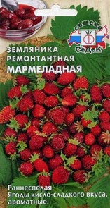 Земляника Ремонтантная Мармеладная Седек