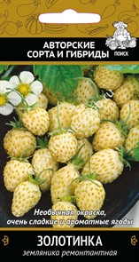 Земляника Ремонтантная Золотинка Поиск