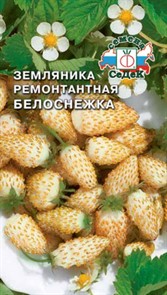 Земляника Ремонтантная Белоснежка Седек