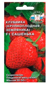 Клубника Сашенька F1 земляника крупноплодная Седек