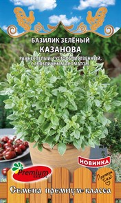 Базилик Казанова зеленый  Премиум