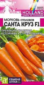 Морковь Санта Круз F1, 0,3 гр. (Семена Алтая)