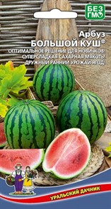 АРБУЗ БОЛЬШОЙ КУШ 10ШТ УД