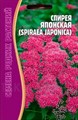 Спирея японская  20шт ЧК - фото 13867