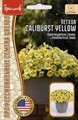 ПЕТХОА Caliburst Yelloy 5др Григорьев гибрид петунии+калибрахоа - фото 14304