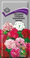 Гвоздика Турецкая Пиноккио карликовая  0,3гр ПЦ