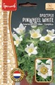 Прострел Pinwheel White 3шт ЧК