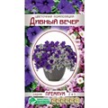 Цветочная композиция Дивный вечер 8драже/петуния,лобулярия Евро Б