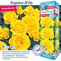 Роза Картье Д"Ор (Сиб Сад)флорибунда