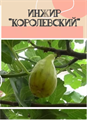 Инжир Королевский