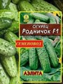 Огурец Родничок F1 0,3гр Аэлита