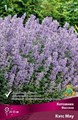 Котовник Фассена Кэтс Мяу/К Поиск