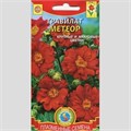 Гравилат Метеор Плазма