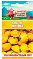 Патиссон "Копейка", 0,6 г 10781784 Рецепты Дедушки Никиты