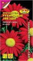 Хризантема Рубиновые звезды многолетн,80см Аэлита