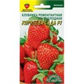 Клубника Королева сада F1 ремонтант Цв сад