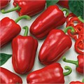 Перец сладкий Александрит F1 10шт Киров
