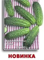 Огурец Новинка 10 шт СС
