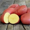 Картофель семенной Краса 2 Элита