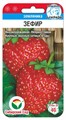 Земляника Зефир 10шт СС