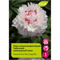 Пион молочноцветковый Тибетский жемчужный пион 1шт/Paeonia Fen Pan Cang Zhu