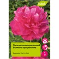 Пион молочноцветковый Великое процветание 1шт/Paeonia Da Fu Gui