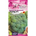 Капуста брокколи Лорд F1 10-15шт СА