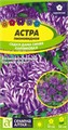 Астра Седая Дама Синяя карликовая 0,05-0,2гр СА