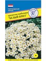 Хризантема Белый Бриз 10шт Престиж