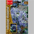 Синеголовник Люби-Меня плосколистный 0,07гр ГригорьевСинеголовник Люби-Меня плосколистный 0,07гр Григорьев