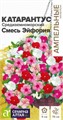 Катарантус Средиземноморский Смесь Эйфория 5-7шт СА